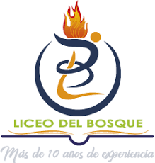 Liceo del Bosque | STEAMGROUP